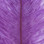 Ostrich Marabou (Purple)
