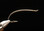 Alec Jackson Steelhead Irons Fly Hook (Nickel)