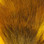 Hareline Petite Bucktails (Yellow)