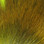 Hareline Petite Bucktails (Chartreuse)