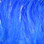 Hareline Saltwater Neck Hackle (Blue)