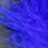 Spirit River UV2 Premium Select Marabou (Royal Blue)