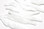 Spawn Polliwog Tails (White)