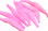 Spawn Polliwog Tails (Flo. Pink)