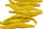 Spawn Polliwog Tails (Yellow)