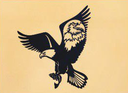 24 x 25 inch Black powder coated and will not rust, great for  indoor or outdoor decor