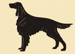 36 x 24 inch Black powder coated it will not rust, good for indoor or outdoor decor.