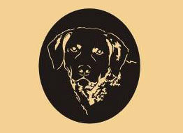 16 x 14 inch Black and powder coated and will not rust, great for indoor or outdoor decor.