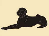 14 x 10  inch Black powder coated and will not rust great for indoor or outdoor decor.