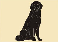 8 x 14  inch Black powder coated and will not rust great for indoor or outdoor decor.