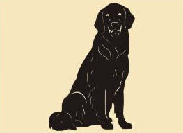 8 x 14  inch Black powder coated and will not rust great for indoor or outdoor decor.