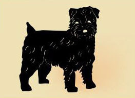 14 x 12  inch Black powder coated and will not rust great for indoor or outdoor decor.