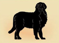 14 x 14  inch Black powder coated and will not rust great for indoor or outdoor decor.