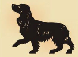 14 x 14  inch Black powder coated and will not rust great for indoor or outdoor decor.