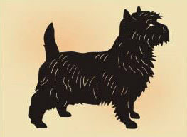 14 x 14  inch Black powder coated and will not rust great for indoor or outdoor decor.