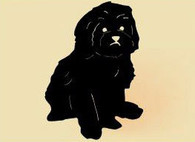 14 x 14 inch Black powder coated and will not rust, great for indoor or outdoor decor.