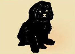 14 x 14 inch Black powder coated and will not rust, great for indoor or outdoor decor.