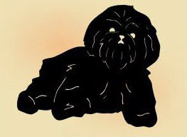 14 x 14 inch Black powder coated and will not rust, great for indoor or outdoor decor.