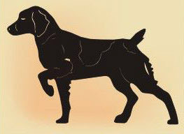 14 x 14 inch Black powder coated and will not rust, great for indoor or outdoor decor.