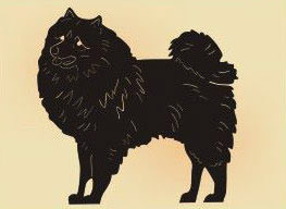 14 x 14 inch Black powder coated and will not rust, great for indoor or outdoor decor.