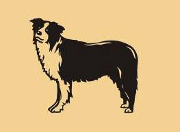 14 x 14 inch Black powder coated and will not rust, great for indoor or outdoor decor.