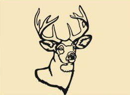 #D 8 - 16 x 10 inch, 16 gauge steel, Black powder coated so it will not rust, great for indoor or outdoor decor.