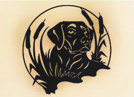 #D0 2 - 15 x 15 inch, 16 gauge steel, black powder coated, will not rust, great for indoor or outdoor decor.