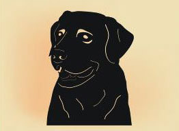 #D0 16 - 16 x 12 inch, 16 gauge steel, black powder coated, will not rust, great for indoor or outdoor decor.