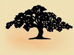 34 x 18  inch Black  16 gauge steel powder coated and will not rust, great for indoor or outdoor decor.