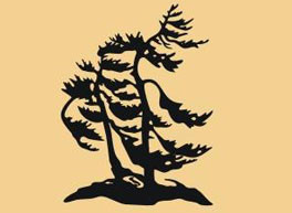 30 x 32 inch Black  16 gauge steel powder coated and will not rust, great for indoor or outdoor decor.