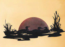 # B17 - 22 x 48 inch, Black Powder Coated, will not rust, great for indoor or outdoor decor.