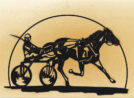 14 x 24 inch Black powder coated 16 gauge steel and will not rust, great for indoor and outdoor decor.