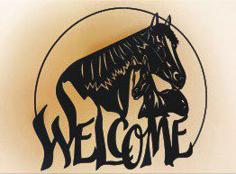 23 x 24 inch Black powder coated 16 gauge steel and will not rust, great for indoor and outdoor decor.