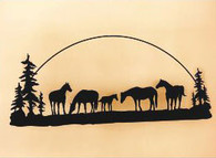 # H9  16 x 46 inch, 16 gauge steel, black powder coated and will not rust, great for indoor or outdoor decor.