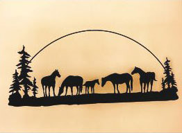 # H9  16 x 46 inch, 16 gauge steel, black powder coated and will not rust, great for indoor or outdoor decor.