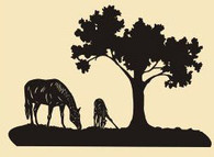 # H15  17 x 27 inch, 16 gauge steel, black powder coated and will not rust, great for indoor or outdoor decor.