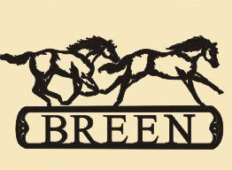 6 x 12  Inch Black 16 gauge steel powder coated and will not rust, great for indoor or outdoor decor.