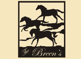 19 x 15  Inch Black 16 gauge steel powder coated and will not rust, great for indoor or outdoor decor.