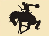 14 x 14  Inch Black 16 gauge steel powder coated and will not rust, great for indoor or outdoor decor.