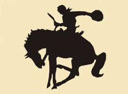 14 x 14  Inch Black 16 gauge steel powder coated and will not rust, great for indoor or outdoor decor.