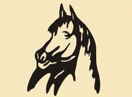 30 x 24 inch Black  16 gauge steel and powder coated so it  will not rust, great for indoor or outdoor decor. 