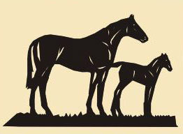 12 x 19 inch Black  16 gauge steel and powder coated so it  will not rust, great for indoor or outdoor decor. 