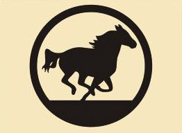 9 x 9 inch Black  16 gauge steel and powder coated so it  will not rust, great for indoor or outdoor decor. 