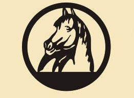 9 x 9 inch Black  16 gauge steel and powder coated so it  will not rust, great for indoor or outdoor decor. 