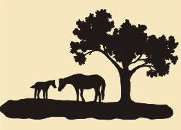 17 x 27 inch Black  16 gauge steel and powder coated so it  will not rust, great for indoor or outdoor decor. 