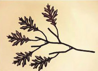 22 x 26 nch 3D Oak Branch   great for indoor and outdoor decor.