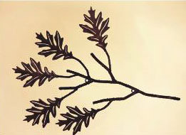 22 x 26 nch 3D Oak Branch   great for indoor and outdoor decor.