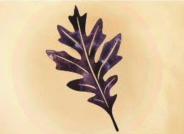 32 x 19 inch Black powder coated 16 gauge steel and will not rust, great for indoor and outdoor decor.