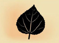 22 x 18 inch Black powder coated 16 gauge steel and will not rust, great for indoor and outdoor decor.