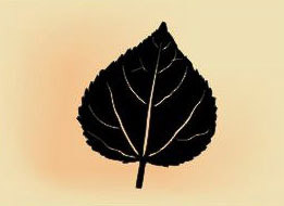 22 x 18 inch Black powder coated 16 gauge steel and will not rust, great for indoor and outdoor decor.